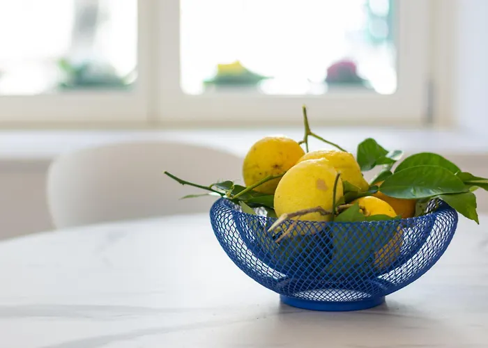 Casa Laurus Incantevole Terrazza Centro 度假居