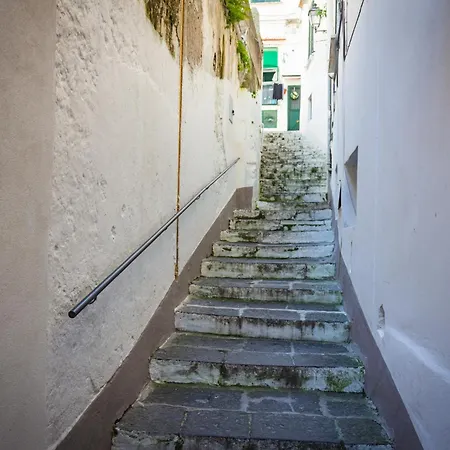 Casa Laurus Incantevole Terrazza Centro Hébergement de vacances